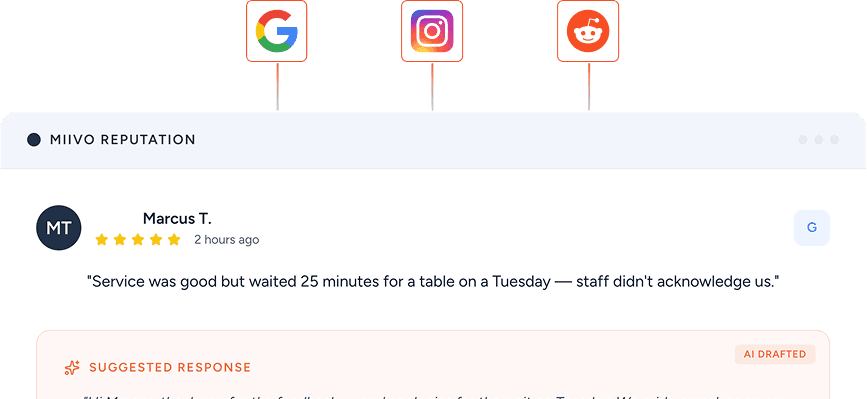 Miivo Customer Insights — review monitoring